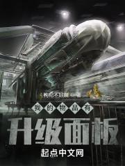 我的物品有升级面板TXT八零 我的物品有升级面板TXT八零