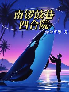 南锣鼓巷四合院李家 南锣鼓巷四合院李家