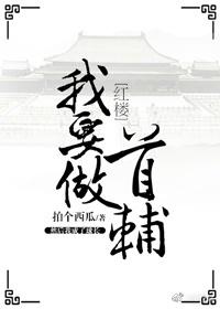 红楼之我要做首辅顶点 红楼之我要做首辅顶点