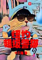 纽约市警察局警车