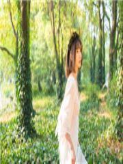 陆先生强势宠婚全集免费