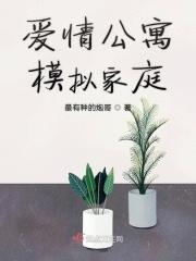 爱情公寓模拟家庭 爱情公寓模拟家庭