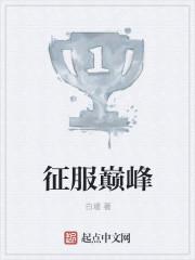 征服巅峰 征服巅峰