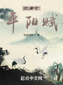 红楼之平阳赋 红楼之平阳赋