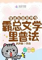 穿成反派后我在霸总文学里普法 穿成反派后我在霸总文学里普法
