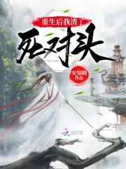 锦书雁回TXT