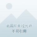 狼暴暴古千年最新章节更新内容
