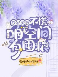 有空间的抄家流放文