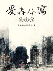 爱情公寓vincent
